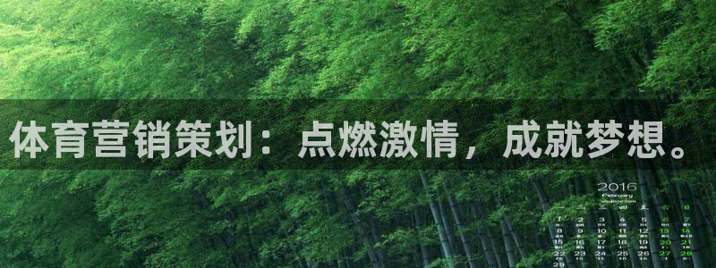 必赢网站网址是多少