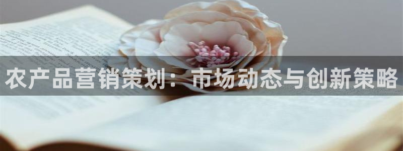 必赢线上网址是什么