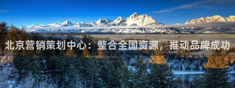 必赢官网app下载安装手机版
