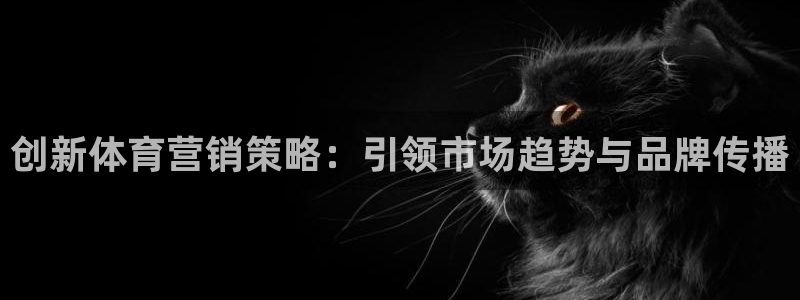 必赢手机app下载最新版本安装