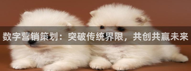 必赢最新