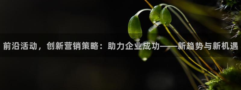 必赢网站充值是真的吗：前沿活动