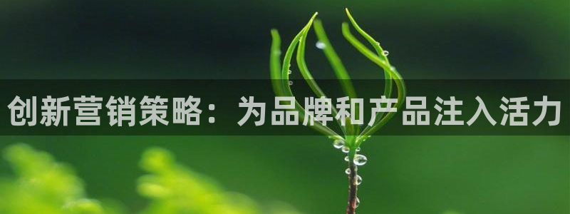 必赢网站是哪一个平台