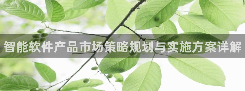 必赢国际官网登录