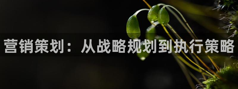 必赢官网网址多少号登录的