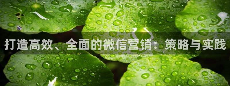 必赢国际游戏登录