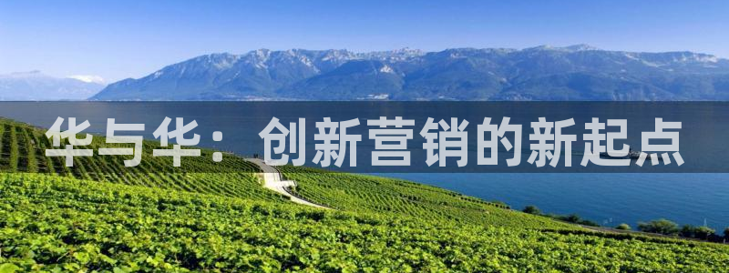 必赢平台官方网站登录