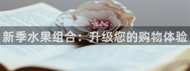 必赢国际437app下载