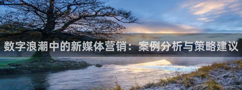 必赢手机app下载 最新版安装