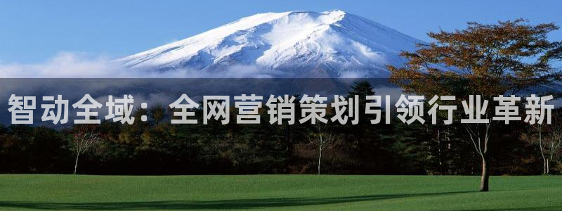 必赢手机app下载官网最新版