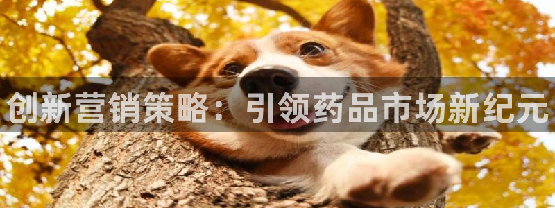 必赢国际网站合法吗