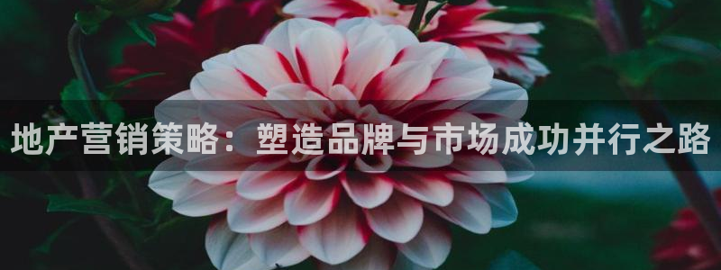 必赢365官方网登录：地产营销