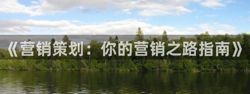 必赢官网网站：《营销策划：你的